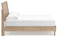 Cielden Bed - Dimensional Outlet Furniture (Oakland, CA)