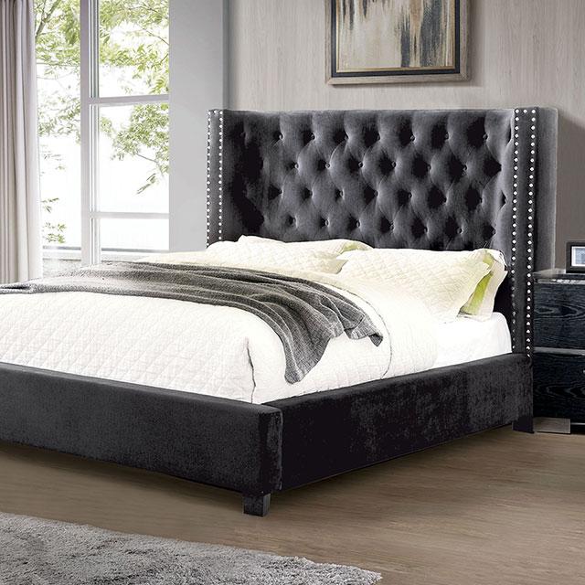 Cayla Bed Silver & Grey - Dimensional Outlet Furniture (Oakland, CA)