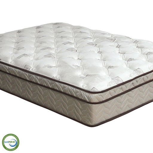 Lilium White/Brown 13" Euro Pillow Top Mattress, Twin - Dimensional Outlet Furniture (Oakland, CA)