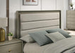 Rainier Queen Bedroom Set - Dimensional Outlet Furniture (Oakland, CA)