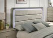 Rainier Queen Bedroom Set - Dimensional Outlet Furniture (Oakland, CA)