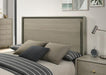 Rainier Queen Bedroom Set Gray - Dimensional Outlet Furniture (Oakland, CA)