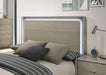 Rainier Queen Bedroom Set Gray - Dimensional Outlet Furniture (Oakland, CA)