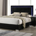 Sinistra Queen Bedroom Set - Dimensional Outlet Furniture (Oakland, CA)
