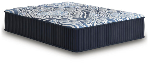 Firm Luxe 2.0 Mattress - Dimensional Outlet Furniture (Oakland, CA)