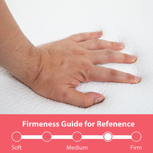 Hollyhock 3" Queen Tri-Fold Memory Foam Topper