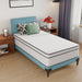 Catmint 12" Twin Innerspring Mattress image