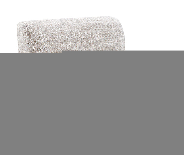 Tona Dining Side Chair (2/CTN)